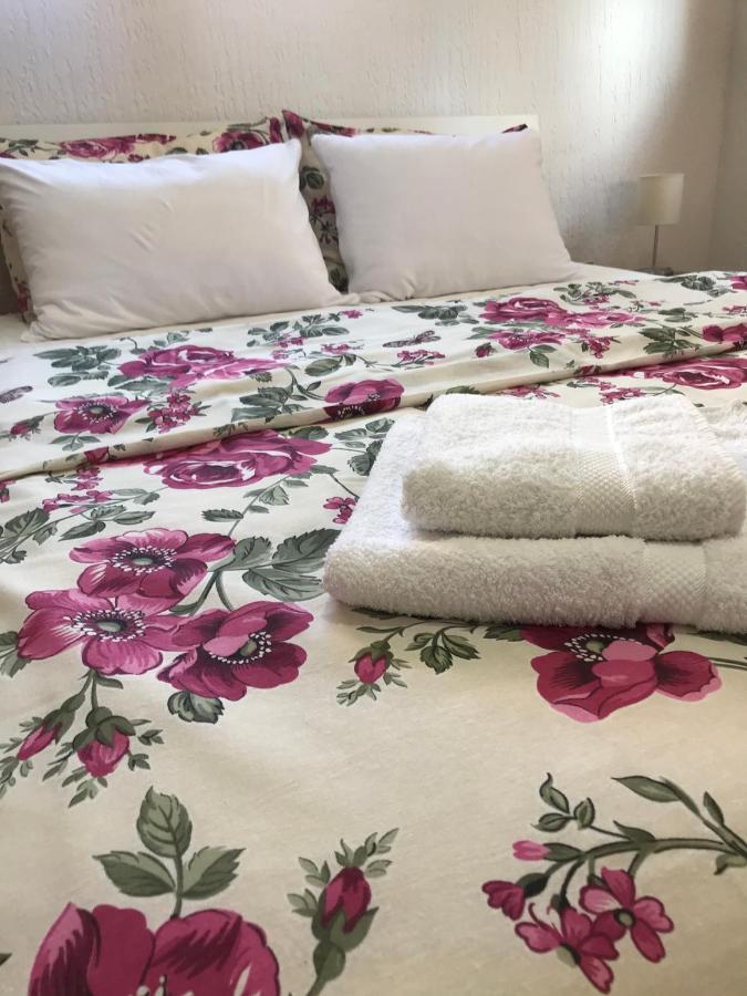 Apartman Studio Milojkovic Golubac Εξωτερικό φωτογραφία