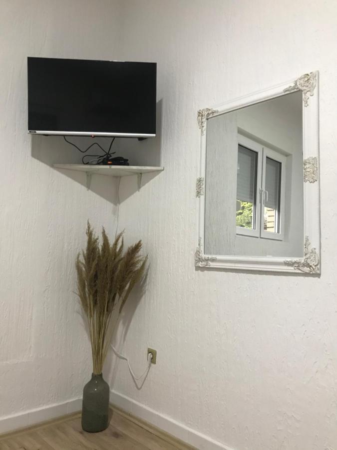 Apartman Studio Milojkovic Golubac Εξωτερικό φωτογραφία