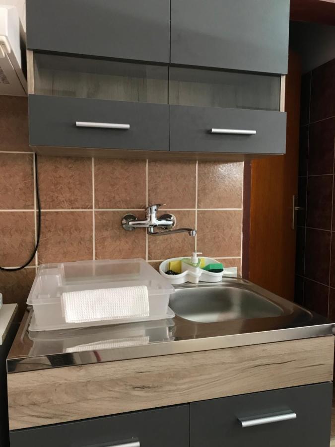 Apartman Studio Milojkovic Golubac Εξωτερικό φωτογραφία