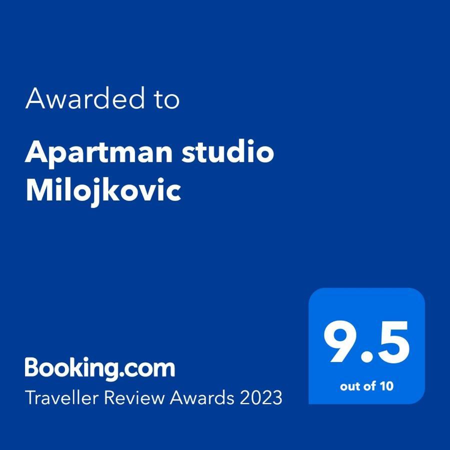 Apartman Studio Milojkovic Golubac Εξωτερικό φωτογραφία